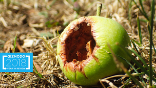 Apple's Future Looks Rotten